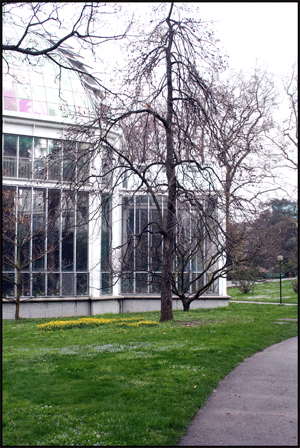 greenhouse-geneva.gif