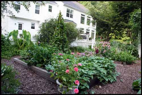 garden-august-08-vs2