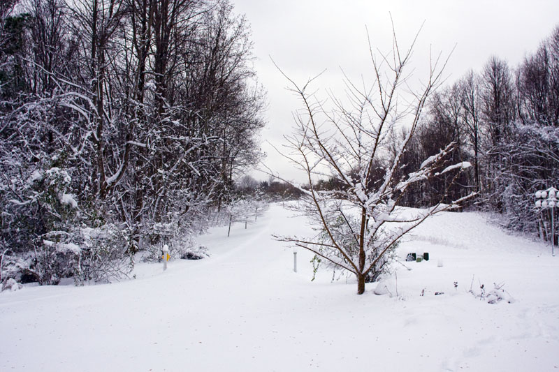 snow in front